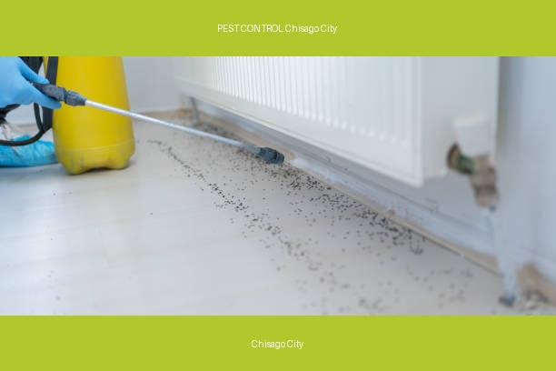 PEST CONTROL Chisago City